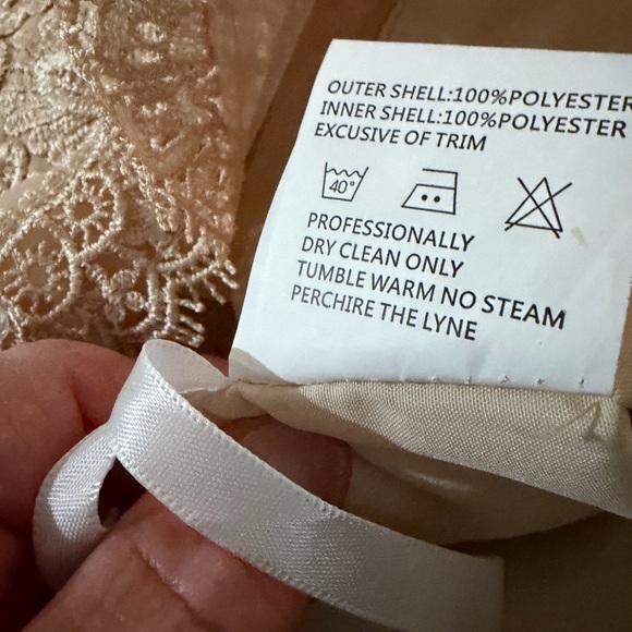 Champagne Lace Formal Dress W/ Sheer Lace Top-Size US 16 Eveng /Wdg. Guest Gown - Picture 4 of 12